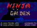 Ninja Gaiden (Euro, USA) - Screen 1