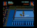 WWF Wrestlemania Steel Cage Challenge (Euro, SMS Mode) - Screen 5