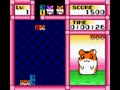 Hamster Club - Awasete Chuu (Jpn) - Screen 4