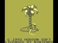 Hudson's Adventure Island II (Euro, USA) - Screen 5