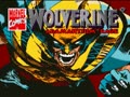 Wolverine - Adamantium Rage (Euro)
