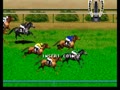 Jockey Grand Prix (set 1) - Screen 3