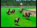 Jockey Grand Prix (set 1) - Screen 5