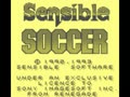 Sensible Soccer - European Champions (Euro) - Screen 2