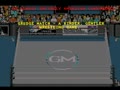 Grudge Match (Yankee Game Technology) - Screen 5