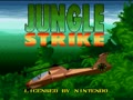 Jungle Strike (USA) - Screen 3