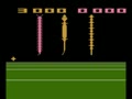 Bugs