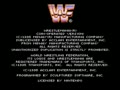 WWF WrestleMania - The Arcade Game (Euro) - Screen 1