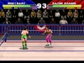 WWF WrestleMania - The Arcade Game (Euro) - Screen 2