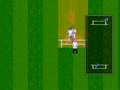 Brian Lara Cricket (Euro, 199506)