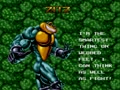 Battletoads & Double Dragon - The Ultimate Team (USA) - Screen 2