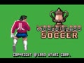 World Class Soccer (Euro, USA) - Screen 2