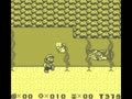 Super Mario Land 2 - 6 Golden Coins (Euro, USA) - Screen 5