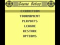 FIFA Soccer '97 (Euro, USA) - Screen 4