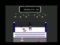 Title Match Pro Wrestling - Screen 3