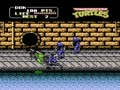 Teenage Mutant Ninja Turtles (Jpn)