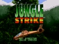 Jungle Strike - Uketsugareta Kyouki (Jpn) - Screen 2