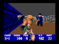 Wolfenstein 3D (USA)