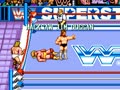 WWF Superstars (US, Newer) - Screen 3