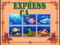 Express Card / Top Card (Ver. 1.5) - Screen 1