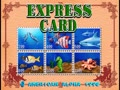 Express Card / Top Card (Ver. 1.5)